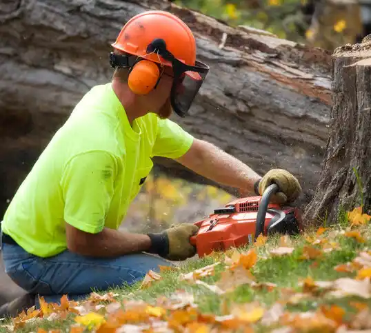 tree services Diamondhead